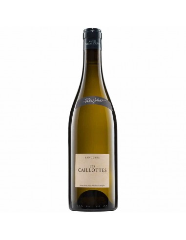 Pascal Jolivet - Sancerre - Les Caillottes - Blanc