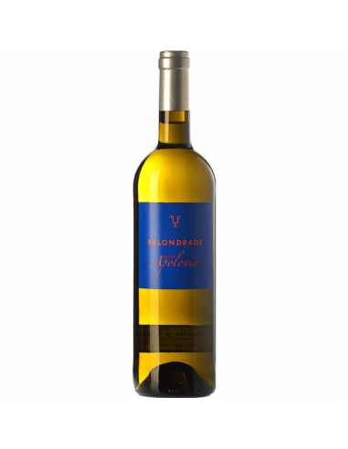 Bodega Belondrade - Quinta Apolonia - Verdejo